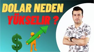 DOLAR NEDEN YÜKSELİR  Döviz Kuru Nedir [upl. by Naruq]