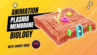 Plasma Membrane  Animation  Fluid Mosaic Model Animation  Function and Structure [upl. by Kissee572]