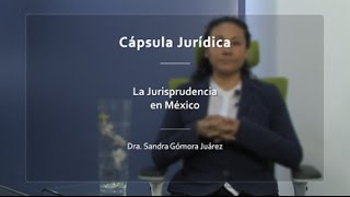 La Jurisprudencia en México IIJUNAM [upl. by Copp995]