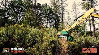 FX36 Defender Forestry Mulcher  Excavator Mulcher  Land Clearing Equipment [upl. by Onitsuj969]