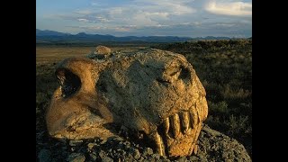 Fireball Earth The Permian Extinction  History Documentary ✔ [upl. by Zetta]