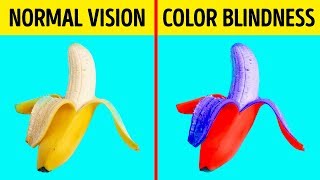 How Color Blind People See the World [upl. by Yekcim]