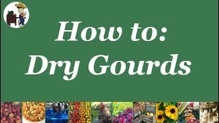 How to Preserve Gourds [upl. by Ambrosine222]