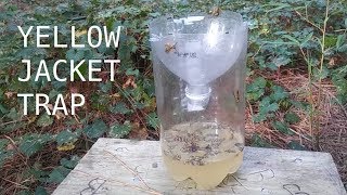 DIY Yellow Jacket Trap  Cheap Easy 2Liter Bottle Trick  All Natural [upl. by Adnahs681]