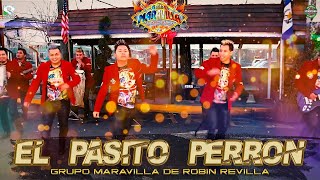 EL PASITO PERRON  GRUPO MARAVILLA DE ROBIN REVILLA  VIDEO OFICIAL PasitoPerron [upl. by Matthiew]