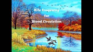 Blood Circulation  Rife Frequency [upl. by Burnight]