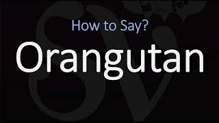 How to Pronounce Orangutan CORRECTLY [upl. by Joktan]