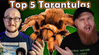 Top 5 BEST Tarantulas  Featuring The Tarantula Collective [upl. by Hernando]