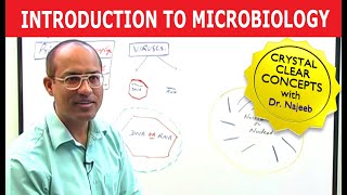 Introduction to Microbiology [upl. by Sublett800]