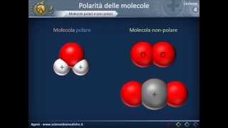 Citologia 04  Polarità delle molecole [upl. by Bertsche]