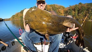 Catching BIG Catfish in TINY Boat  tips and tactics to catch more catfish [upl. by Ylrebmit]