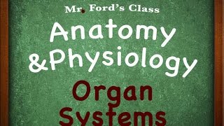 Introduction To Anatomy Physiology Organ Systems 0104 [upl. by Bower]