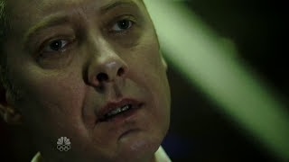 Best Monologue EverRaymond Reddington [upl. by Naillig]