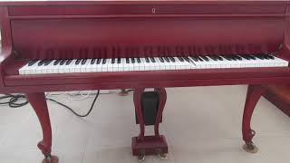 Baby Grand Piano with MIDI Input Disklavier based [upl. by Nivag]