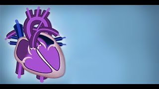 Fetal Circulation by L McCabe  OPENPediatrics [upl. by Nessnaj]