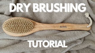 Dry Brushing Tutorial [upl. by Beryle798]