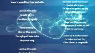 Impossible Love  UB40 with lyricswmv [upl. by Anifad125]