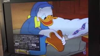 Japanese Donald Duck [upl. by Eitsyrhc]