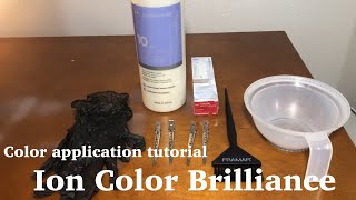 Color Application tutorial  Ion Color Brilliance for beginners [upl. by Eliga]