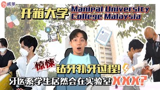 开箱大学  Manipal University College Malaysia｜惊悚钻牙补牙过程！牙医系学生居然会在实验室XXX？ [upl. by Brant686]