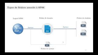 Introduction à lanalyse de données avec SPSS [upl. by Acirret638]