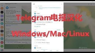 telegram电报汉化WindowsLinuxMac  Telegram设置中文语言 [upl. by Wetzel]