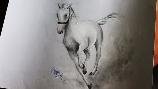 How to draw a horse  Come disegnare un cavallo [upl. by Iruam]