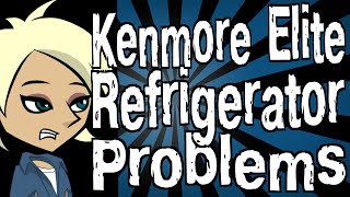 Kenmore Elite Refrigerator Problems [upl. by Barling]