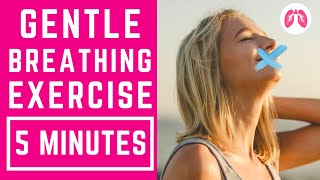 Buteyko Inspired Breathing Exercises  5 Minutes  TAKE A DEEP BREATH [upl. by Eneluj205]