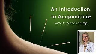 An Introduction to Acupuncture  Episode 23  Spotlight on Migraine [upl. by Thamos]