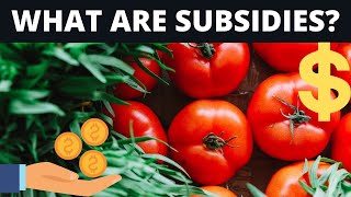 What Are Subsidies Useful For [upl. by Iadahs766]