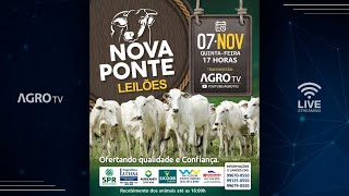 NOVA PONTE LEILÕES AO VIVO  NOVA PONTE MG [upl. by Finley]