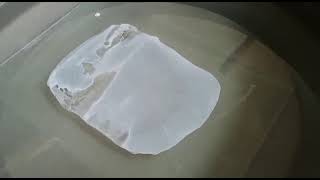 Flat Sheet Membrane Fabrication Polysulfone PS Membrane Casting Using Rod [upl. by Ljoka906]