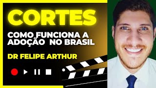 CORTES COMO FUNCIONA A ADOÇÃO NO BRASIL DR FELIPE ARTHUR [upl. by Hteboj493]