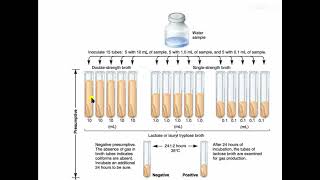 Microbiological Examination of Water MPN [upl. by Atina]