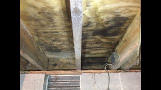 Crawl Space Mold Remediation [upl. by Lipinski]