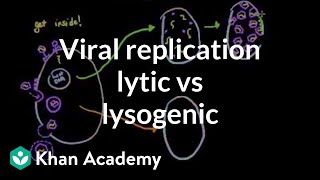 Viral replication lytic vs lysogenic  Cells  MCAT  Khan Academy [upl. by Sibel]