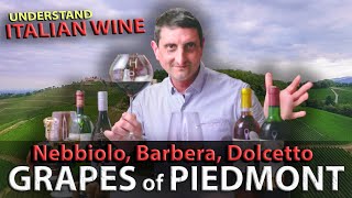 Piedmonts Wine TRILOGY Nebbiolo Barbera Dolcetto  Italian Wine 101 [upl. by Ysnil]