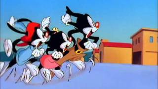 Animaniacs Season 1 Episode 1 [upl. by Rheingold535]