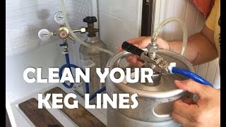 How to clean your kegerator beer lines  DO IT [upl. by Ulphi]