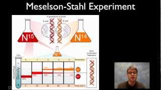 MeselsonStahl Experiment [upl. by Nahtannhoj]