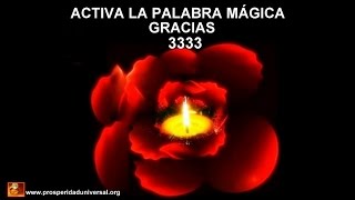 PODEROSA GRATITUD  3333 PROSPERIDAD UNIVERSAL [upl. by Aikemit]