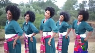 Best Ethiopian Traditional Music 2014 Solomon Demle  Mech Ayeshiwuna [upl. by Schoening616]