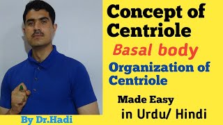 Centriole and Basal Body Lecture 14 in Urdu Hindi by dr A Hadi [upl. by Euqinmod]