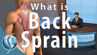 SAFE Core Exercises for Lower Back Pain Relief [upl. by Tal933]