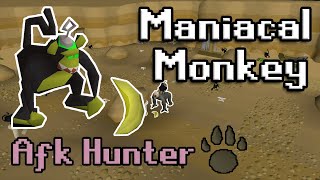 OSRS Maniacal Monkey Guide AFK Hunter Training [upl. by Michael]