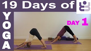 19 Days of Yoga  Day 1 Iyengar Yoga Sequence [upl. by Claudie]