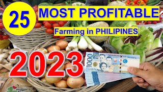 Top 25 Most Profitable Farming in 1 Hectare Farm  Philippines [upl. by Aliuqet207]