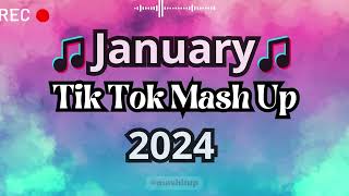 TikTok Mashup 2024 🎵 [upl. by Rhianon511]