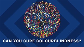 Can You Cure Colourblindness  Earth Science [upl. by Keefe981]